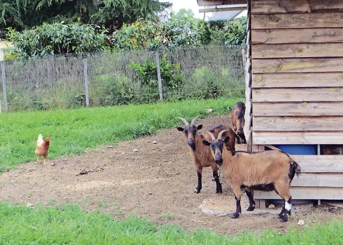 بيت للعطل Lovely In Brain-sur-alonnes *